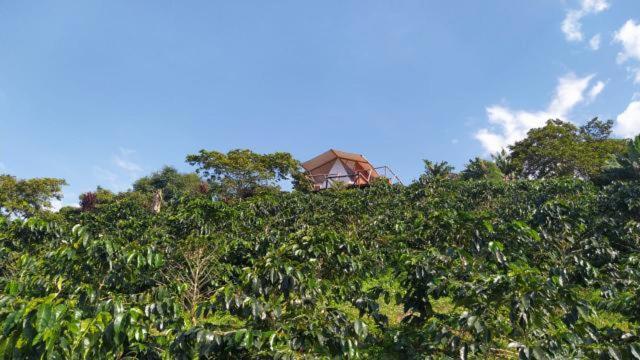 Glamping Orosierra Hotel Chinchiná Екстериор снимка